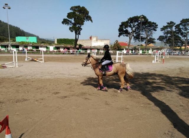 e-19625455-pista-de-obstaculos-a-caballo15193923358087.jpg