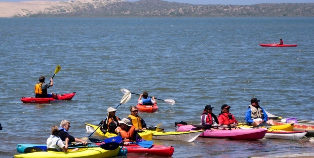 Tabla y Vela de Windsurf
