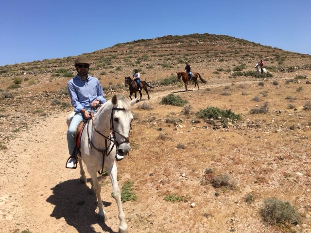Siguiendo el camino canario a caballo