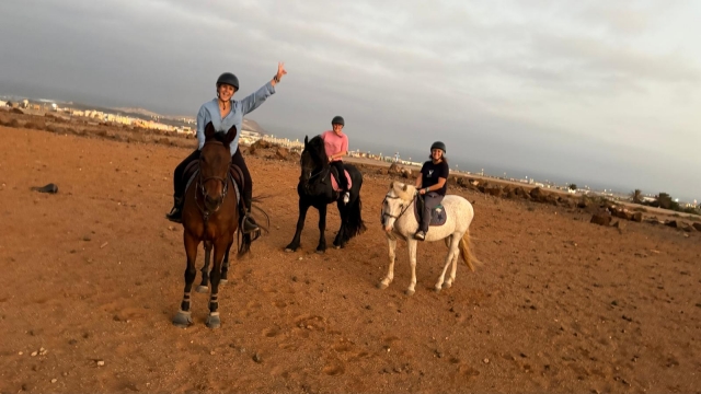 Opinião de Bonnie sobre Rota de cavalo através do campo de quatro dotas, 1H