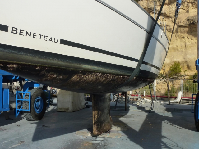  This year the ARGONAUTA has come out very dirty