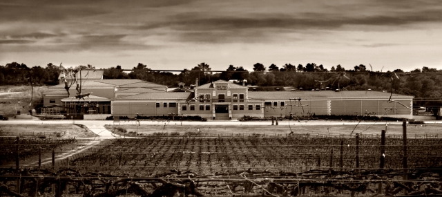 Fachada de PradoRey Ribera de Duero desde los viñedos