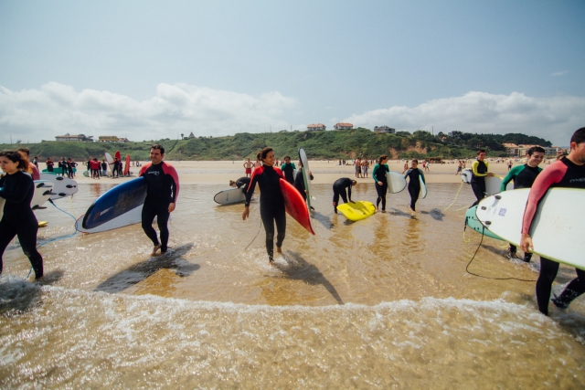 FreeSurfing