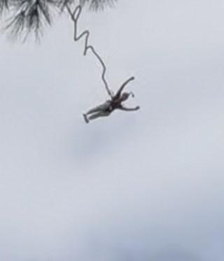 res_o-65974-puenting_de_marc-sedano-badas_img-0664_17604358227563.jpeg