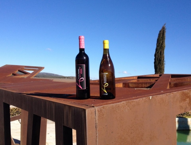  Deux de nos vins 