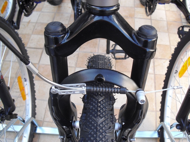Suspension delantera