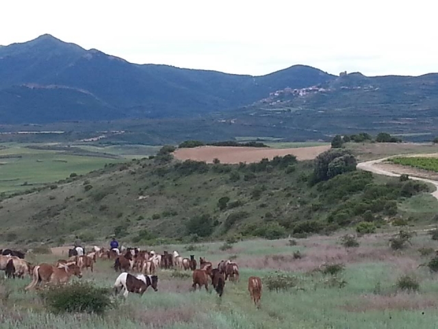 Paisaje ideal para subir a caballo