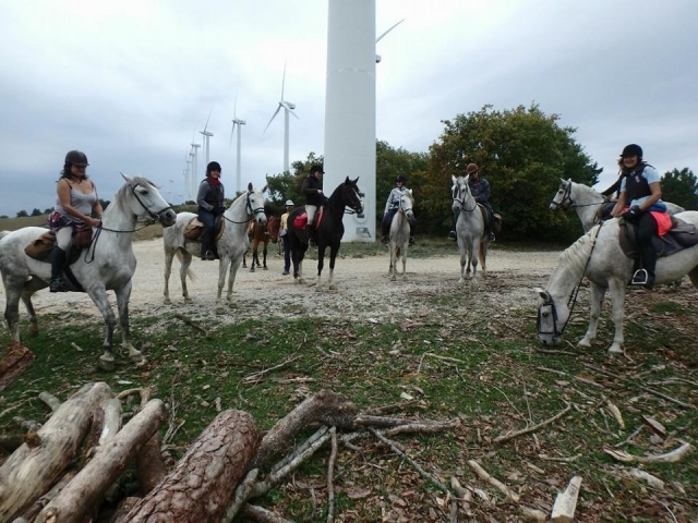 A caballo por los molinos de viento