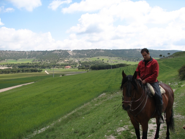 Enjoy the region on horseback 