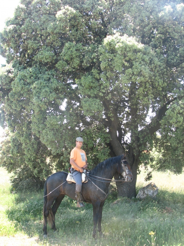  Horseback riding routes 