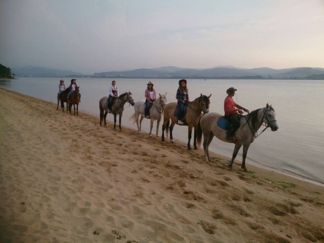  walks on the beach 