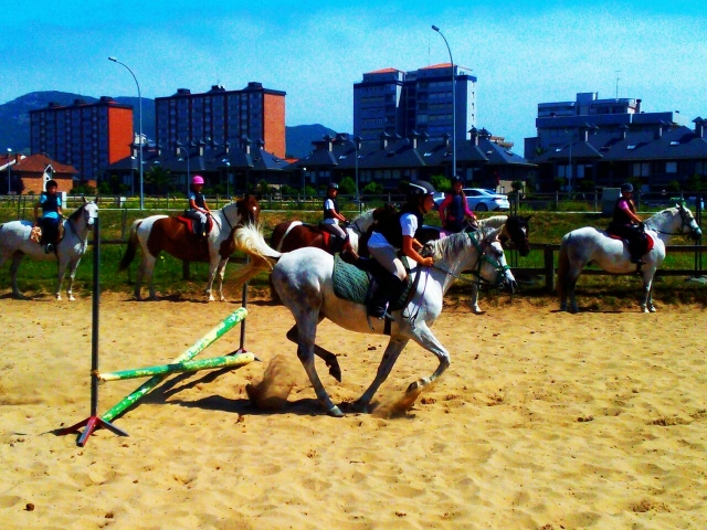 Clases de equitación en verano