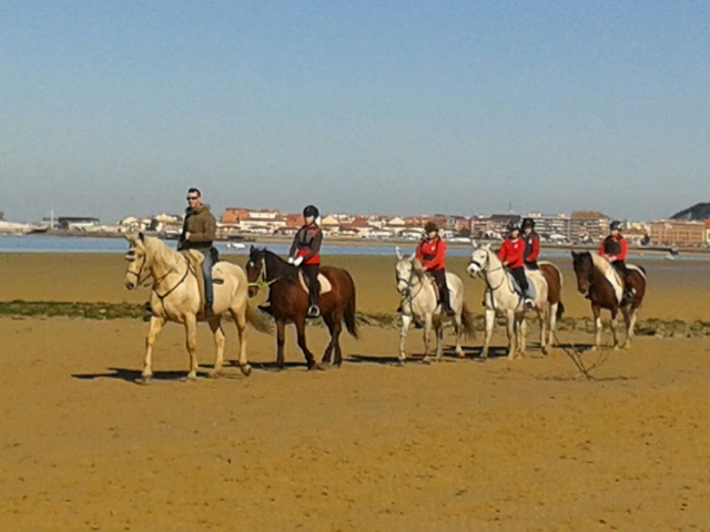 Paseos a caballo por la playa