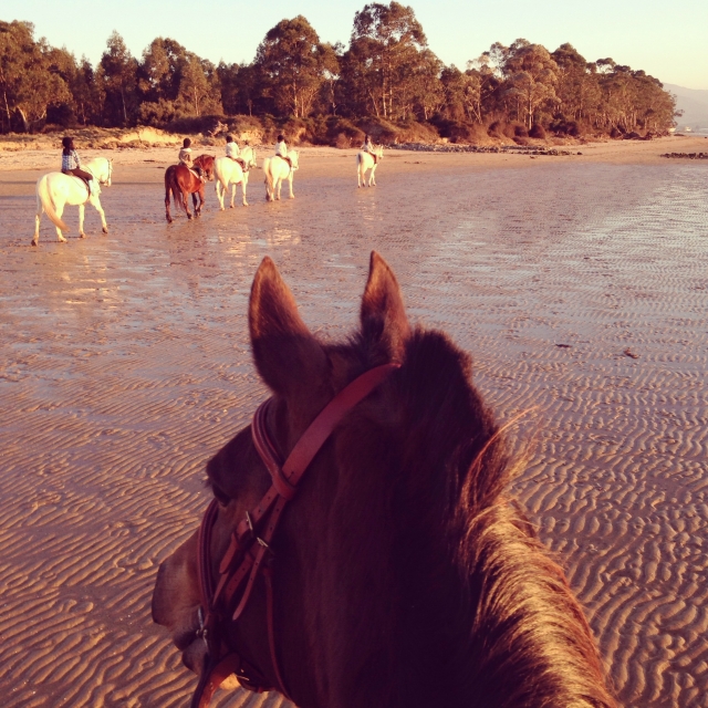 Caballos en la playa