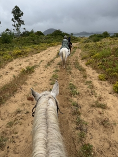 res_o-66938-rutas-a-caballo_de_javier-perez-de-la-torre-jaen_img-5519_17810941092396.jpeg