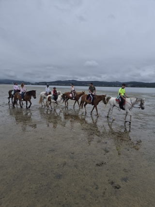 res_o-67364-rutas-a-caballo_de_janire-martin_17862900473388.jpeg