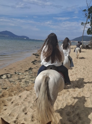 res_o-67544-rutas-a-caballo_de_houda-mozouna_17876704897985.jpg