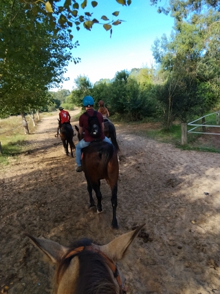 res_o-67618-rutas-a-caballo_de_begona-romero-rodriguez_17883469508301.jpg