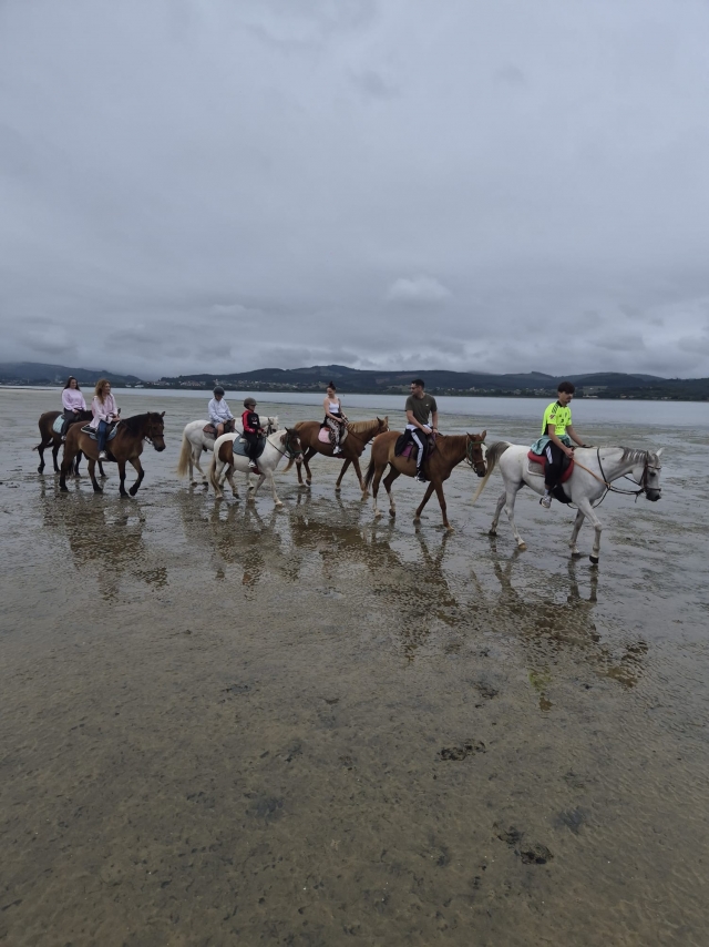 Review of Janire about Horseback riding through the forest and Regatón beach 90 min