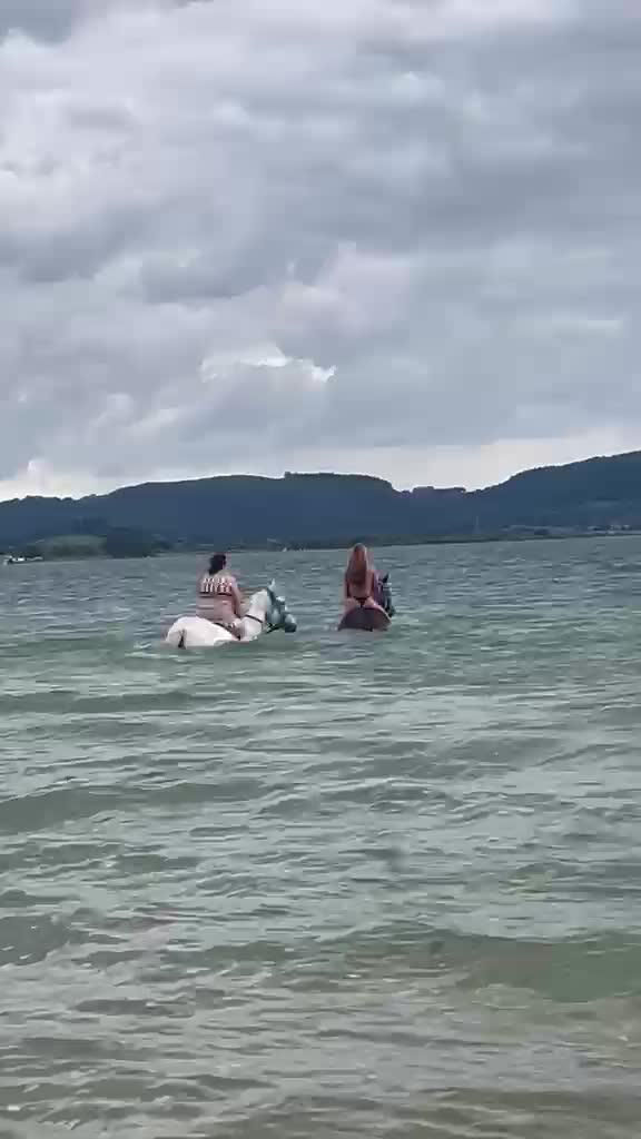 res_o-67618-rutas-a-caballo_de_begona-romero-rodriguez_17883469466170.mp4