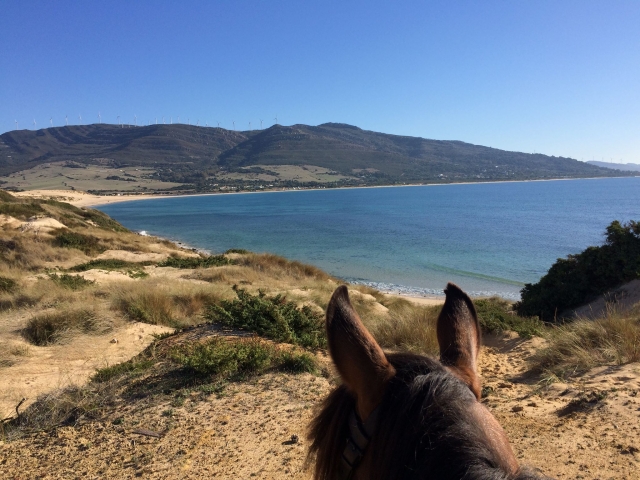 Punta Paloma desde el caballo