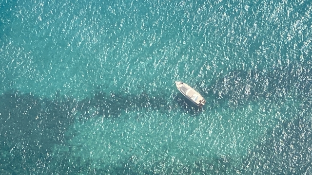 Review of Sara about Light aircraft flight over L'Empordà 60 min