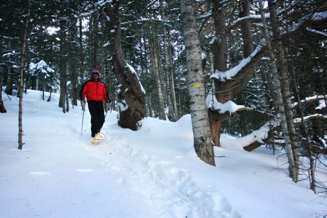Travesías con raquetas