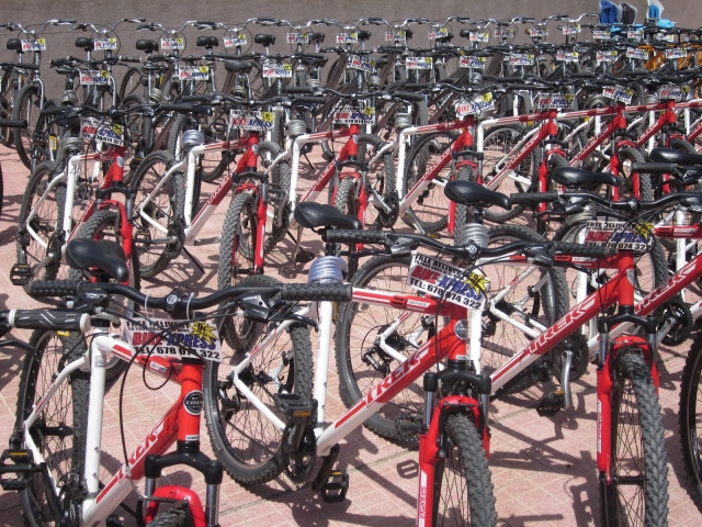All kinds of bikes