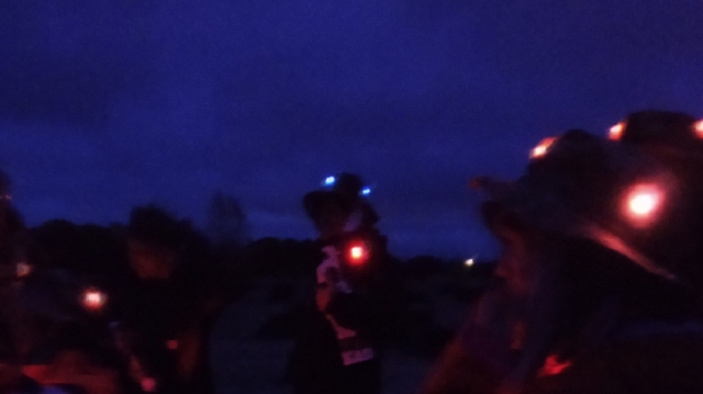 Laser tag por la noche