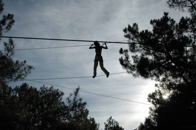 de arbol en arbol se vive la aventura