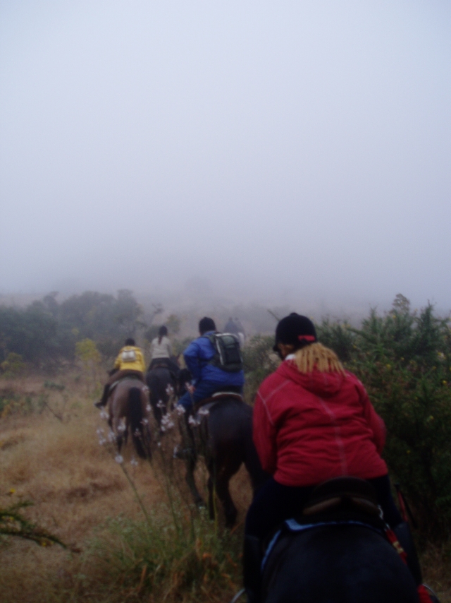 Fabulosas rutas a caballo