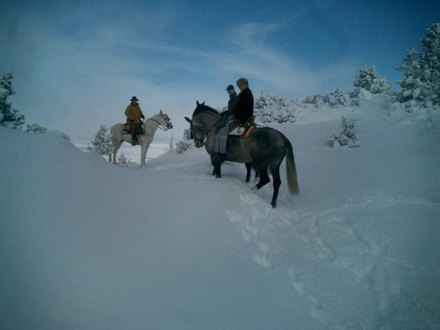 Paseando por la nieve