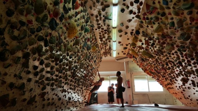 Entrenamientos guiados