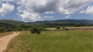 dscf4233.jpg