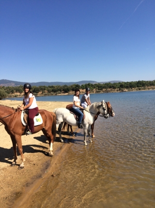 res_o-33811-rutas-a-caballo_de_jesus-martin-madrid_14735933157314.jpeg