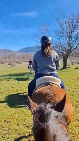 Bewertung von Javier Über 90-minütige Reitroute in Lozoya + 30-minütiger Unterricht