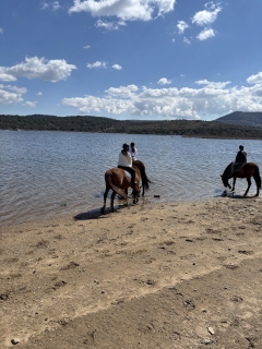 res_o-66543-rutas-a-caballo_de_francela-martinez_17745160409249.jpeg