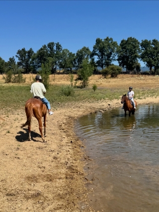 res_o-67157-rutas-a-caballo_de_david-serrano-molina_17835712421207.jpeg