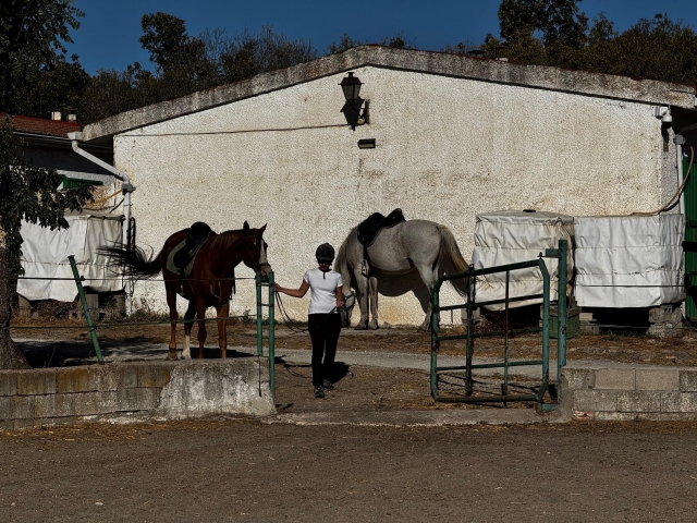 Avis de Alba concernant Cours et parcours d'équitation + canoë à Lozoya