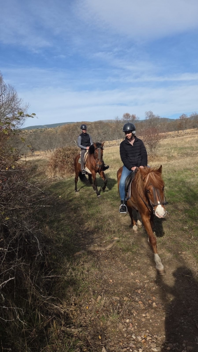 res_o-66172-rutas-a-caballo_de_maite-de-la-cuesta-jimenez_22ff64d7-e473-4ba3-bf9b-3696473ce91a_176389273553.jpeg