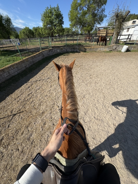 Opinión de SONIA sobre 90 min de ruta a caballo en Lozoya + clase 30 min