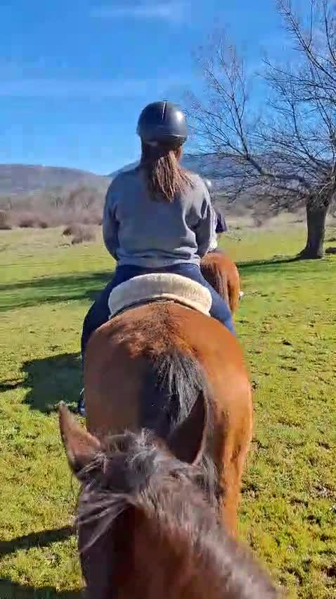 Opinión de Juan sobre 90 min de ruta a caballo en Lozoya + clase 30 min