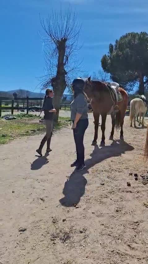 Opinión de Carlos sobre 90 min de ruta a caballo en Lozoya + clase 30 min