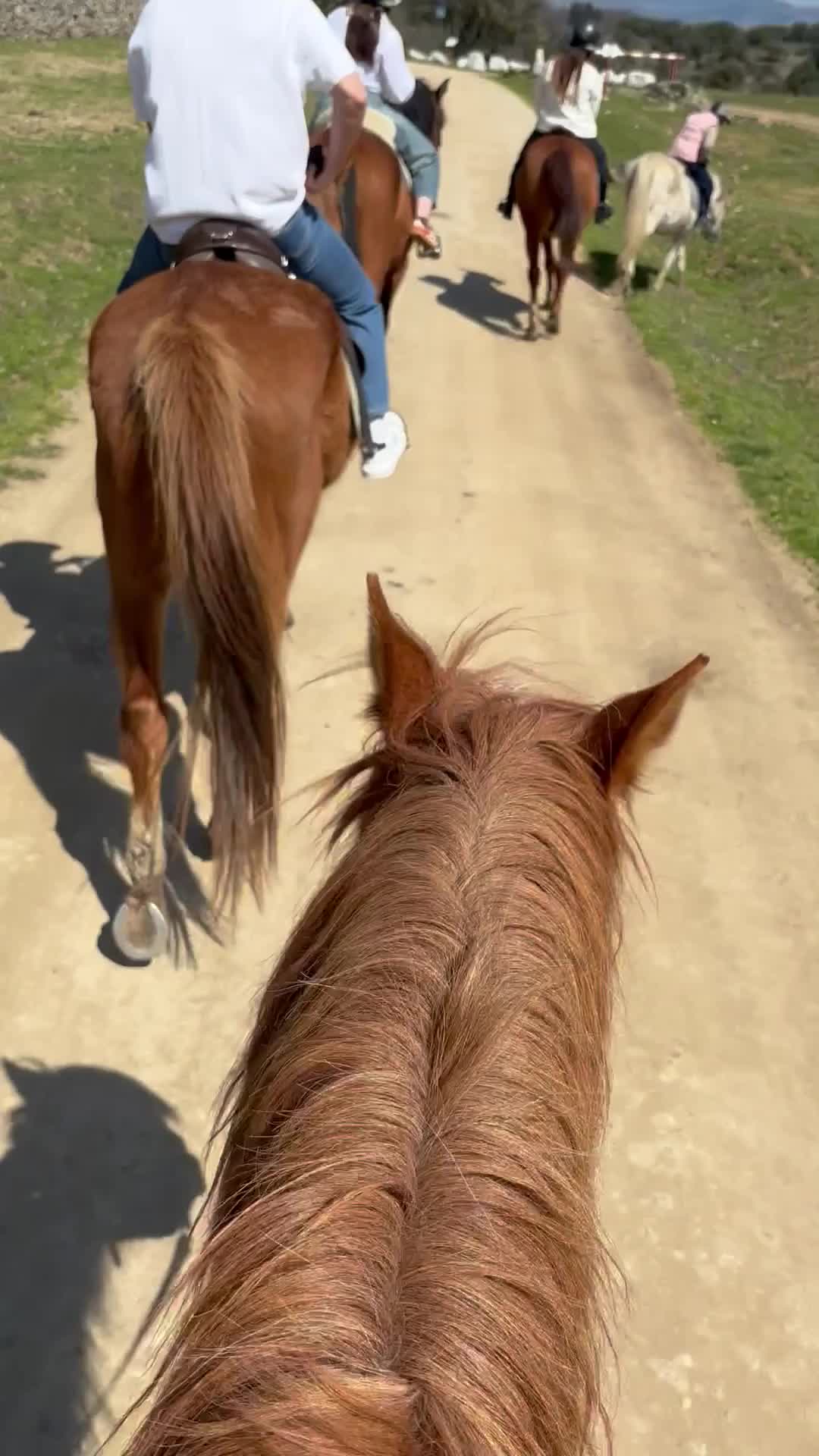 Opinião de Sandra sobre 90 min de cavalgada em Lozoya + classe 30 min min