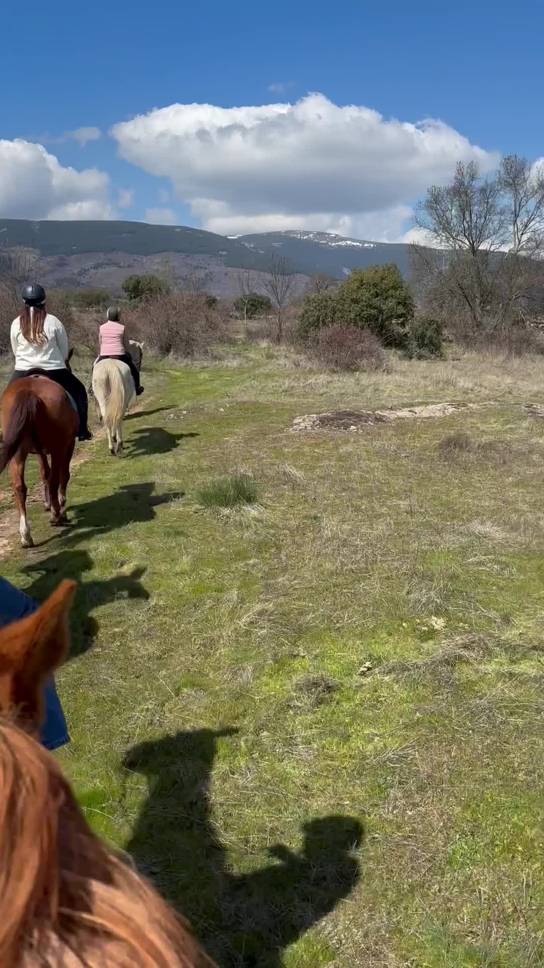 Avis de Francela concernant Parcours équestre de 90 min à Lozoya + cours de 30 min