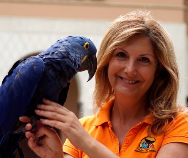  Prendre soin des perroquets au zoo 