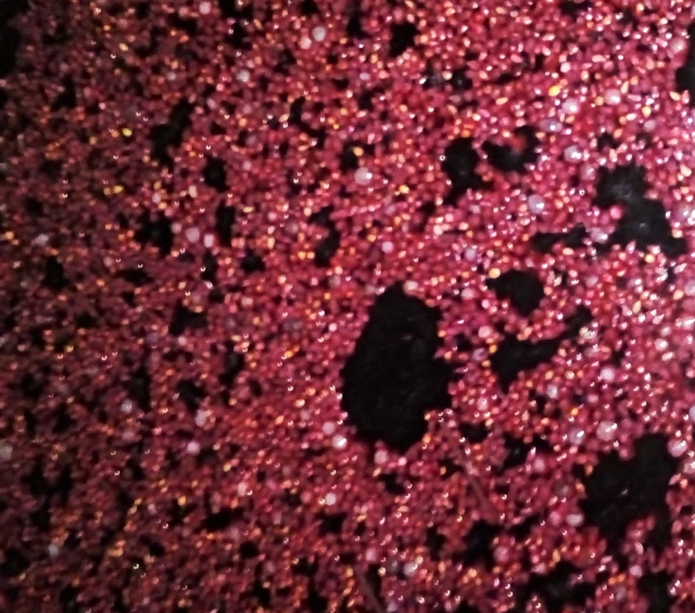 Proceso de fermentación