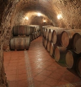 Bodega subterranea