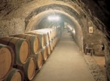  我们的地下酒庄 