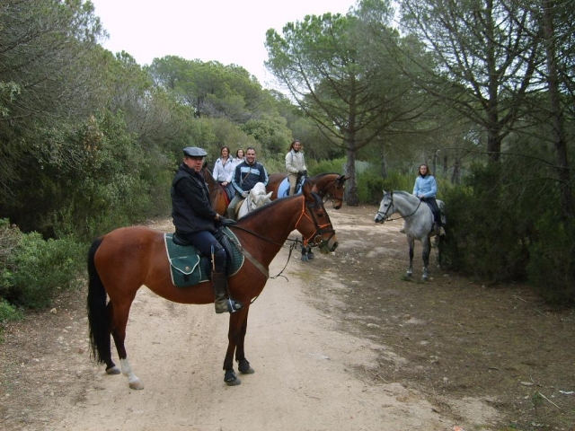 Excursiones a caballo